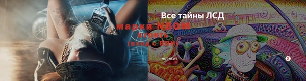 соль ск Бронницы
