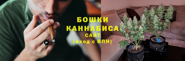 соль ск Бронницы