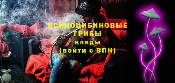соль ск Бронницы