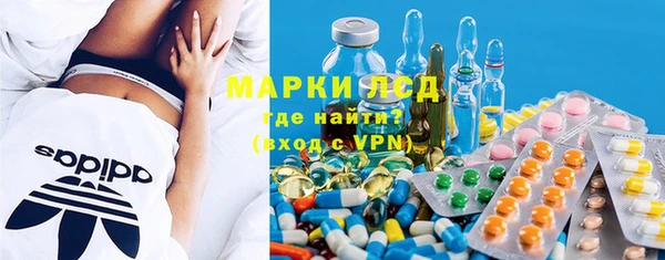 spice Богородск