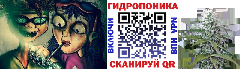 продажа наркотиков  Грязи  Бошки Шишки марихуана 